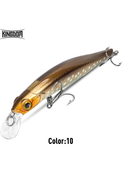 Kingdom Sinking Minnow Yem 60 80 95 105MM Titreşimli Sinking Jerkbati Swimbait Mıknatıs Transfer Uzun Atış Sert Balıkçılık Yemi (Yurt Dışından)