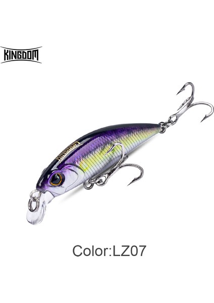 Kingdom Sinking Minnow Wobblers Balıkçılık Yemleri 45MM 60MM Alabalık Için Uzak Atış Balıkçılık Yemi B Crankbaits Ince Gövde Sert Yem (Yurt Dışından)