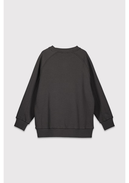 Reglan Kol Etiketli Sweatshirt fiyatları