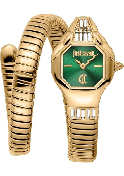 Just Cavallı JC1L326M0035 Kadın Kol Saati