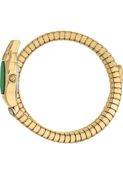Just Cavallı JC1L326M0035 Kadın Kol Saati