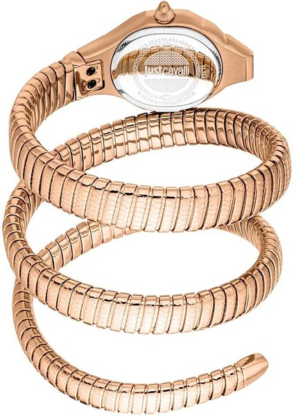 Just Cavallı JC1L355M0045 Kadın Kol Saati