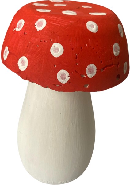 Kişiye Özel Mantar Dekor fiyatları