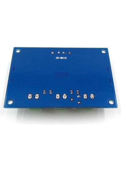 XH-M542 Dc 12-26V 100W TPA3116DA Mono Kanal Dijital Güç Ses Amplifikatörü TPA3116D2 Kartı (Yurt Dışından)