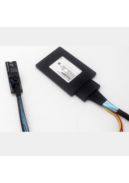 M.2 Nvme - U2 Adaptör Kartı Ngff Mkey Pciex4 SFF8643 SFF8639 Genişletilmiş Yükseltici Destek Protokolü (Yurt Dışından)