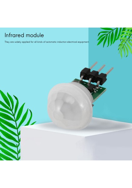 10 Adet AM312 Mini Insan Sensörü Modülü Ir Piroelektrik Kızılötesi Pır Hareket Dedektörü Modülleri Dc 2.7V Ila 12V (Yurt Dışından)