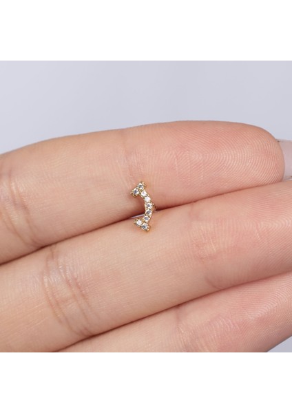 Zirkon Taşlı Çelik Tragus Küpe NUR-KE03260 fiyatları