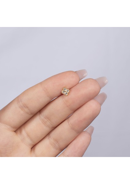 Yonca Model Çelik Tragus Küpe NUR-CP00189 fiyatları
