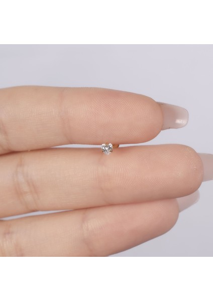 Kalp Çelik Tragus Küpe NUR-KE03347