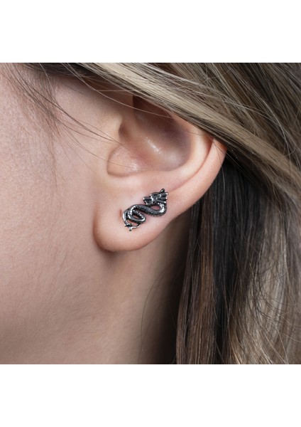 Ejderha Çelik Tragus NUR-KE03336