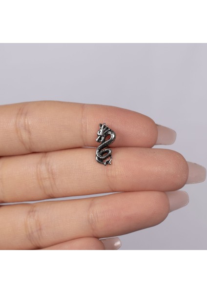 Ejderha Çelik Tragus NUR-KE03336 fiyatları