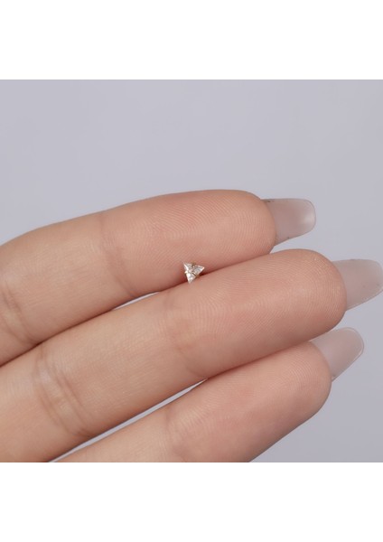 Üçgen Çelik Tragus Küpe NUR-KE03346