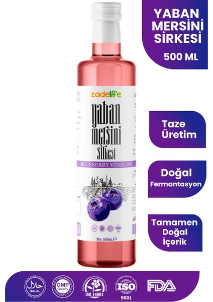 C Vitamini Kaynağı Yaban Mersini Sirkesi 500 ml