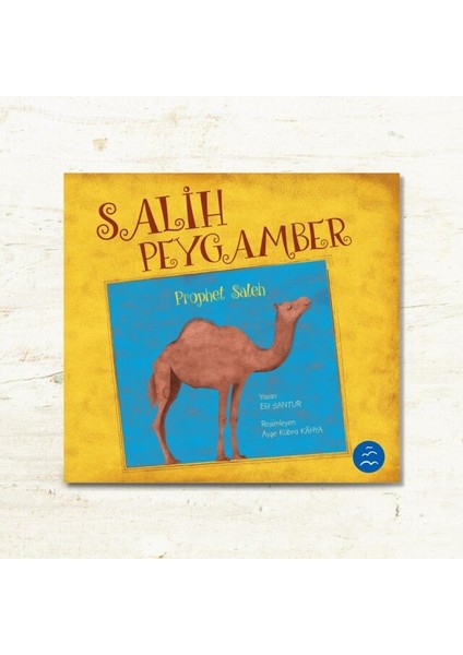 Peygamberler Serisi (12 Kitap)
