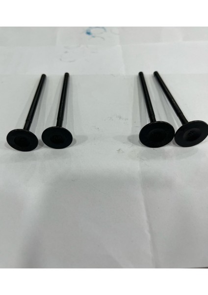 TVS APACHE RTR 200 SÜBAP TAKIMI 4 LÜ