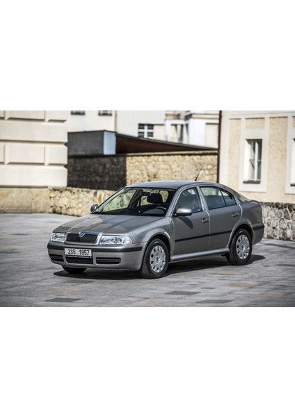 Skoda Octavia Bagaj Amortisörü 1999-2005 (2 Adet) fiyatları