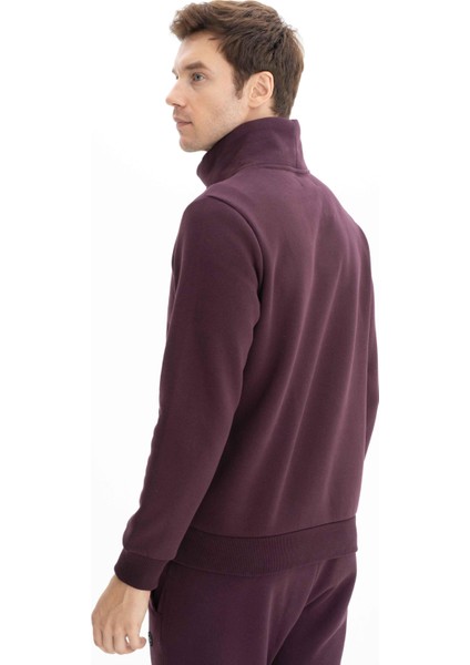 Erkek Regular Fit Kanguru Cepli Balıkçı Yaka Sweatshirt K26544625501