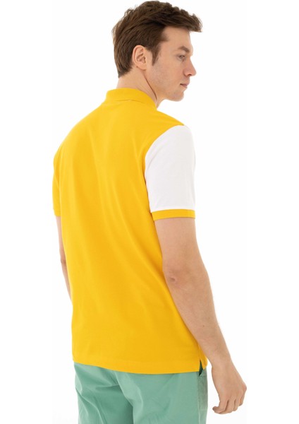 Erkek Regular Fit Polo Yaka Tişört Y25374306601