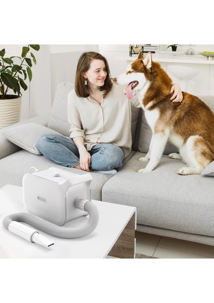Kedi & Köpek Kurutma Makinesi indirimleri