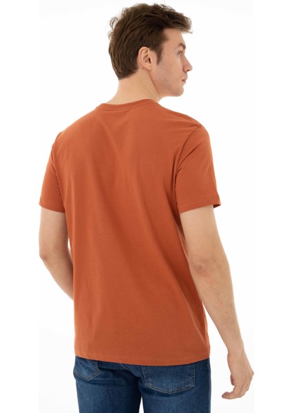 Erkek Regular Fit Bisiklet Yaka Tişört Y25344405601
