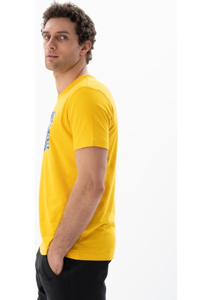 Erkek Regular Fit Bisiklet Yaka Tişört Y25344403001