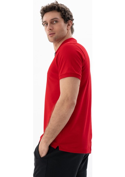Erkek Regular Fit Polo Yaka Tişört Y25374305101