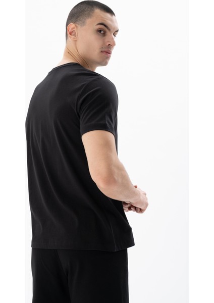 Erkek Regular Fit Bisiklet Yaka Tişört Y25344406301