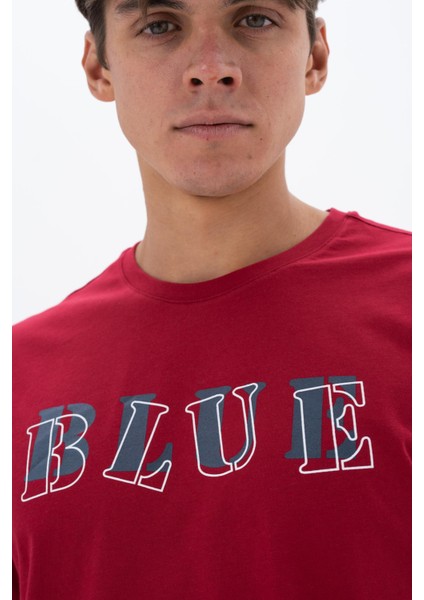 Erkek Regular Fit Bisiklet Yaka Tişört Y25344405901 fiyatları