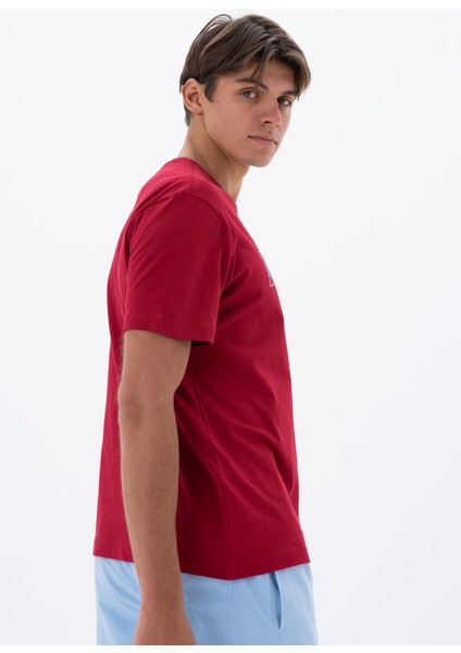 Erkek Regular Fit Bisiklet Yaka Tişört Y25344405901