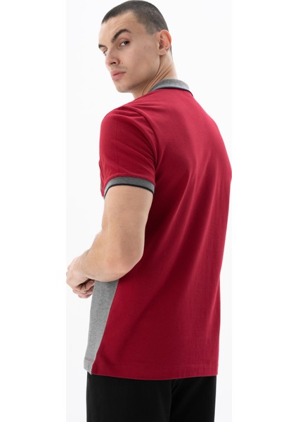Erkek Regular Fit Polo Yaka Tişört Y25374304601