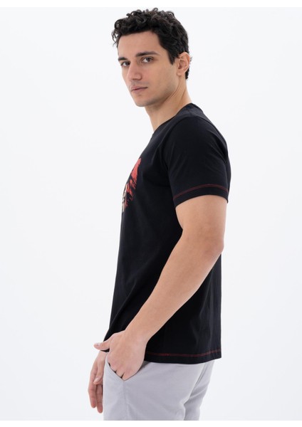 Erkek Regular Fit Bisiklet Yaka Tişört Y25344404001