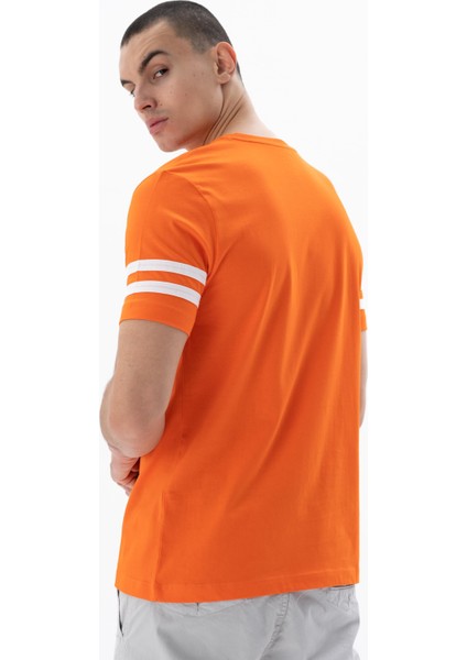 Erkek Regular Fit Bisiklet Yaka Tişört Y25344405801
