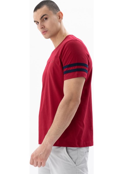 Erkek Regular Fit Bisiklet Yaka Tişört Y25344405801