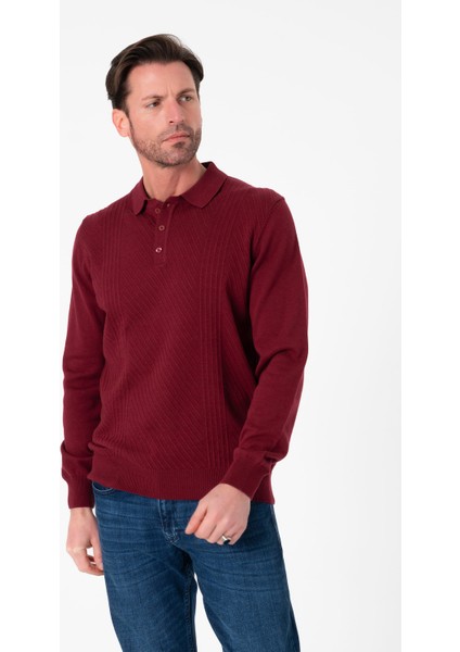 Polo Yaka Desenli Düğme Detaylı Erkek Triko KAZAK-T-1284
