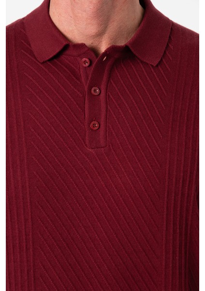 Polo Yaka Desenli Düğme Detaylı Erkek Triko KAZAK-T-1284