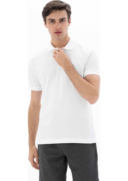 Erkek Büyük Beden Polo Yaka Tişört Y25374866801 modelleri