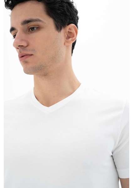 Erkek Slim Fit V Yaka Tişört Y25344452801