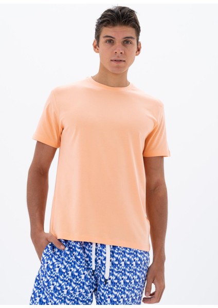 Erkek Regular Fit Bisiklet Yaka Tişört Y25344470001 indirimleri