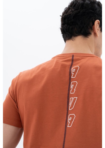 Erkek Regular Fit Bisiklet Yaka Tişört Y25344404801