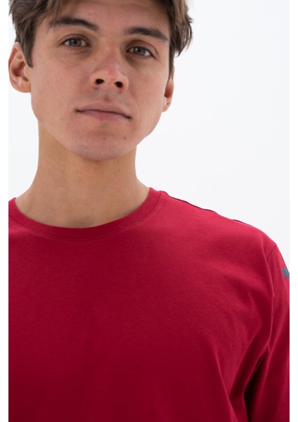 Erkek Regular Fit Bisiklet Yaka Tişört Y25344404701 fiyatları