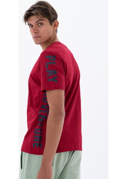 Erkek Regular Fit Bisiklet Yaka Tişört Y25344404701