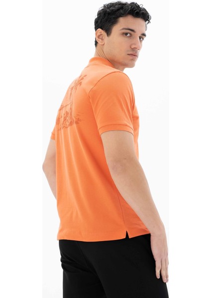 Erkek Regular Fit Polo Yaka Tişört Y25374351901