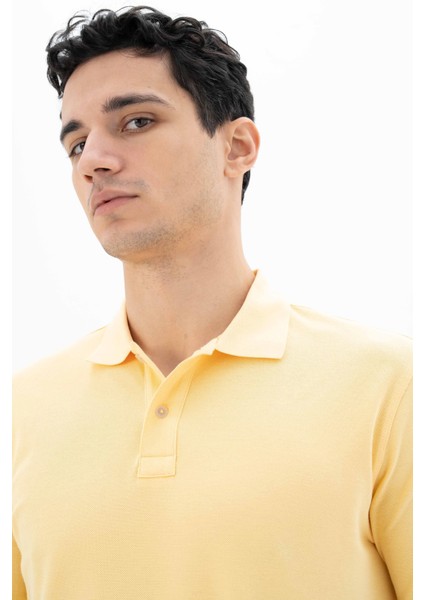 Erkek %100 Pamuk Basic Polo Yaka Regular Fit T-shirt Y25374351201 fiyatları