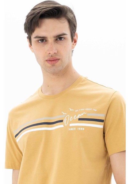 Erkek Regular Fit Bisiklet Yaka Tişört Y25344404501 fiyatları
