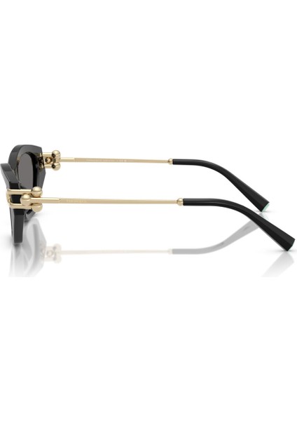 4231U 800181 53-17 Kadın Güneş Gözlüğü modelleri