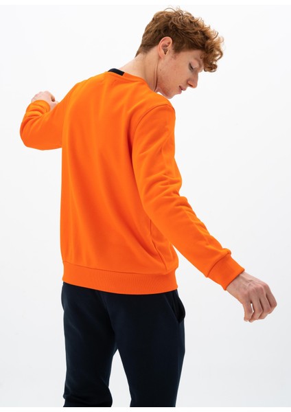 Erkek Regular Fit Bisiklet Yaka Sweatshirt K26124925301