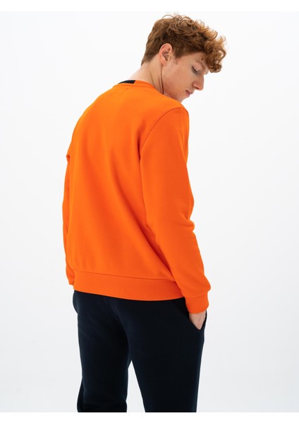 Erkek Regular Fit Bisiklet Yaka Sweatshirt K26124925301