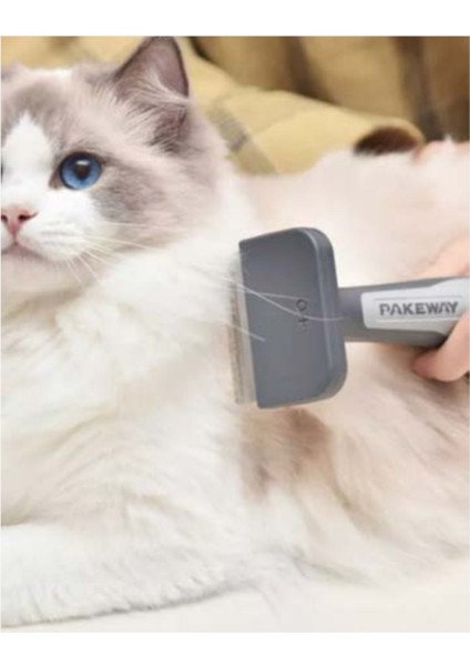 Evcil Hayvan Tarağı -Gri modelleri