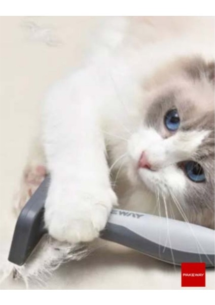 Evcil Hayvan Tarağı -Gri fırsatları