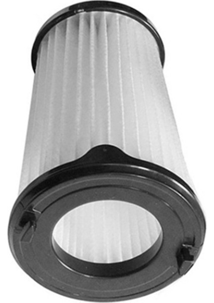 Electrolux Aeg AEF150 Için 2 Adet Filtre, Ergorapido Cx7-2 Modelleri Için (Yurt Dışından)